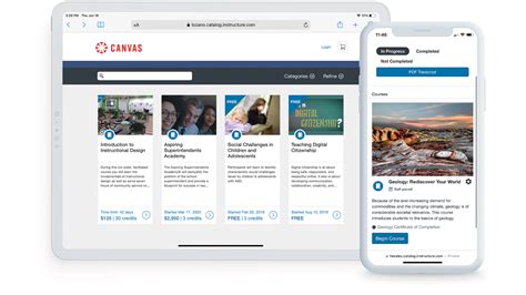 Canvas ECU Solutions