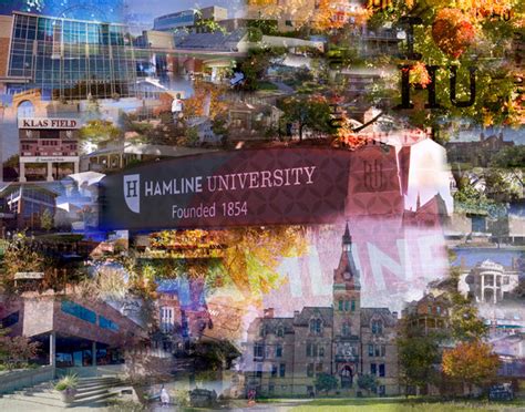 5 Canvas Hamline Tips