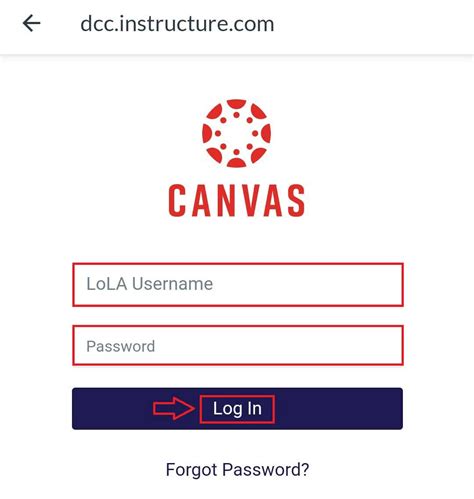 canvas login community college