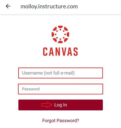 Canvas Molloy Artwork Designs