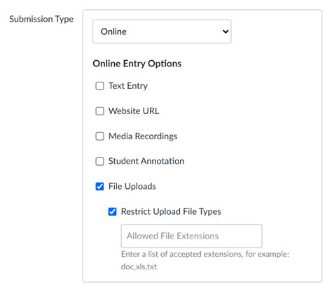 Canvas Restrict File Upload Types