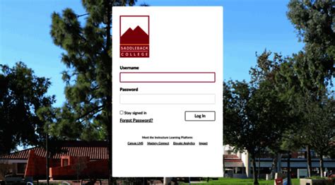 5 Ways Canvas Saddleback Login