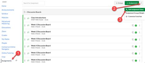 Canvas Set Late Policy