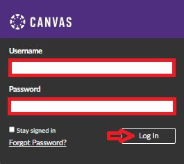 5 Ways Canvas Tarleton