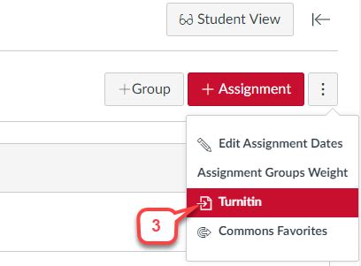 Turnitin on Canvas Made Easy