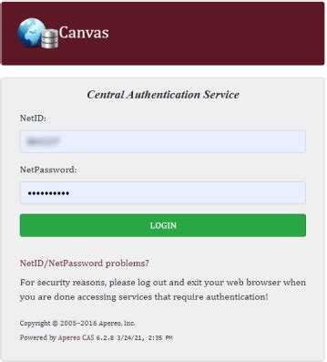 5 Tips Canvas MSState