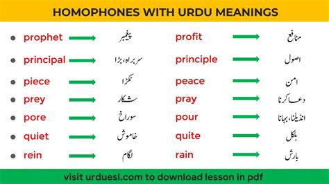 canvassing meaning in urdu with example