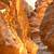 canyons of jordan