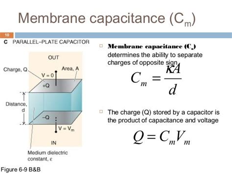 Capacitance Resistance Membrane