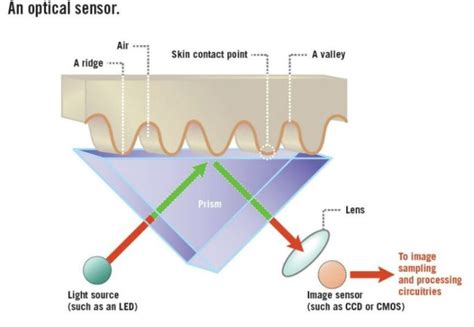 Capacitive Vs Optical Fingerprint Sensor