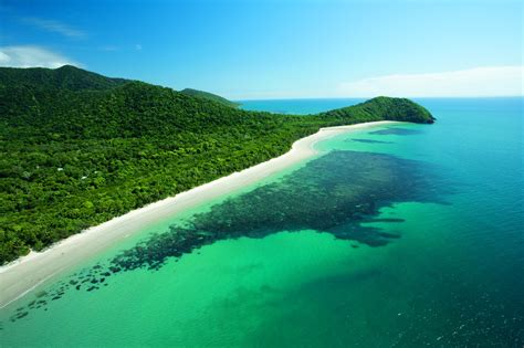 cape tribulation beach