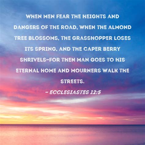 Caper Berry Ecclesiastes