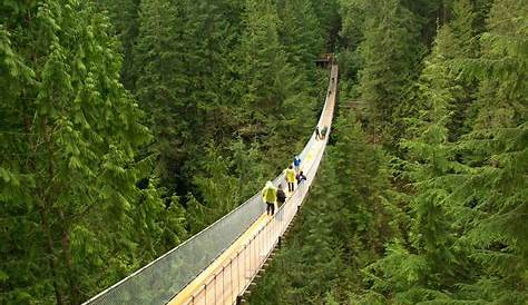 Capilano Suspension Bridge In Vancouver Canada RoadTrip Through 's Nature Experience Transat