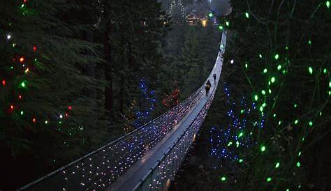 Capilano Suspension Bridge Vancouver Christmas Decorated In Lights In North British Columbia 3500x2040