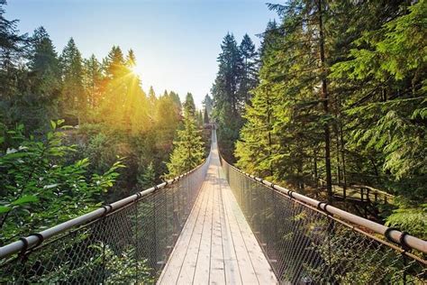 capilano suspension bridge park admission