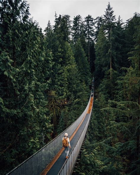 capilano suspension bridge park vancouver