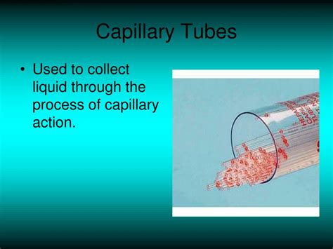 Capillary Tube Function In Laboratory