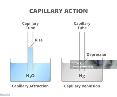 Capillary Tubes In Water