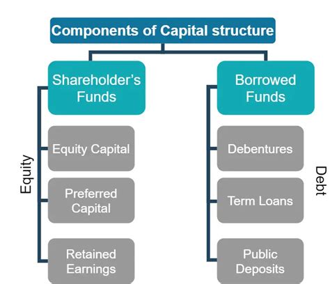 Capital Structure For Llc