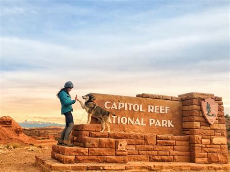 capitol reef utah pet friendly hotels