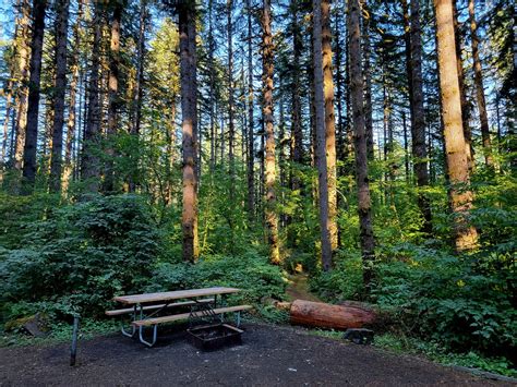 capitol state forest camping