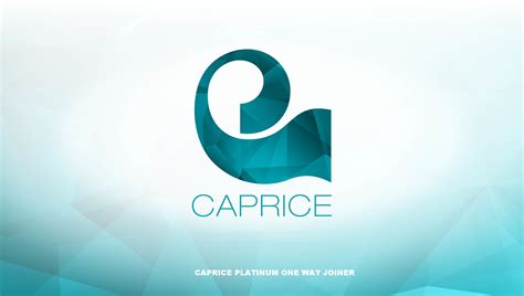 caprice engineering pty ltd