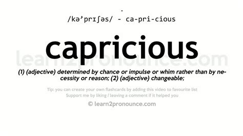 capricious definition legal