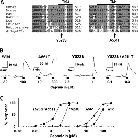 Capsaicin Sensitivity