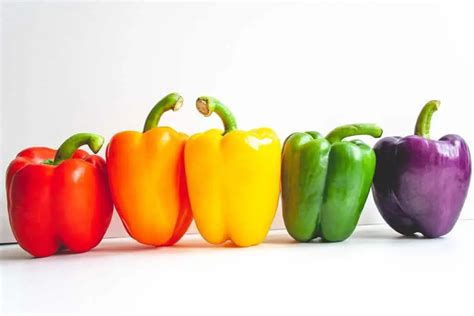 Capsicum Examples