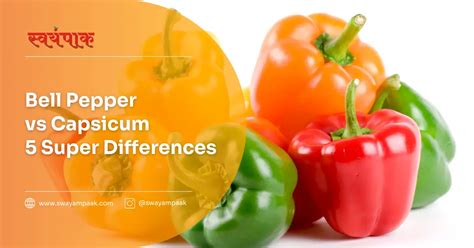 Capsicum Vs Green Pepper
