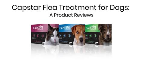 Capstar Flea Treatment Dog Flea & Tick Care Reviews 2019