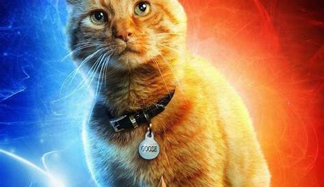 Captain Marvel Poster Cat 's Gets His Own Character (See
