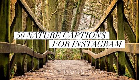 Caption For Instagram Nature Photos 50 Best s Travelers Around The