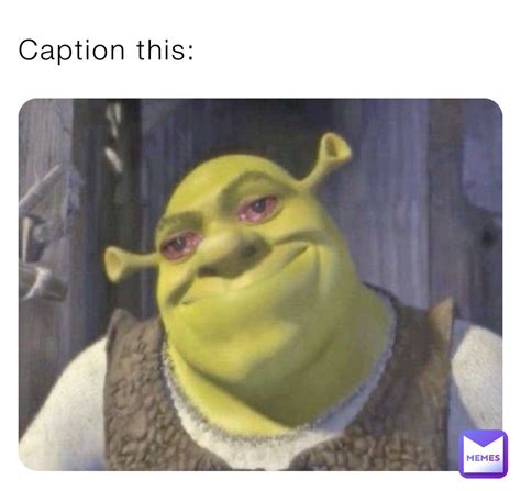 Meme Caption Pic Caption Mania