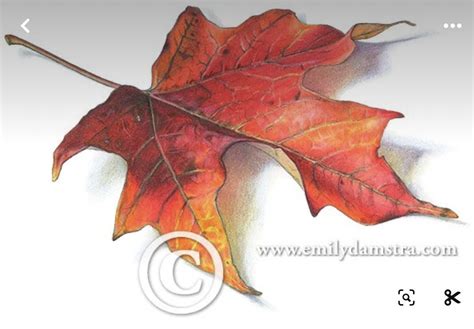 Caption For Leaf Painting