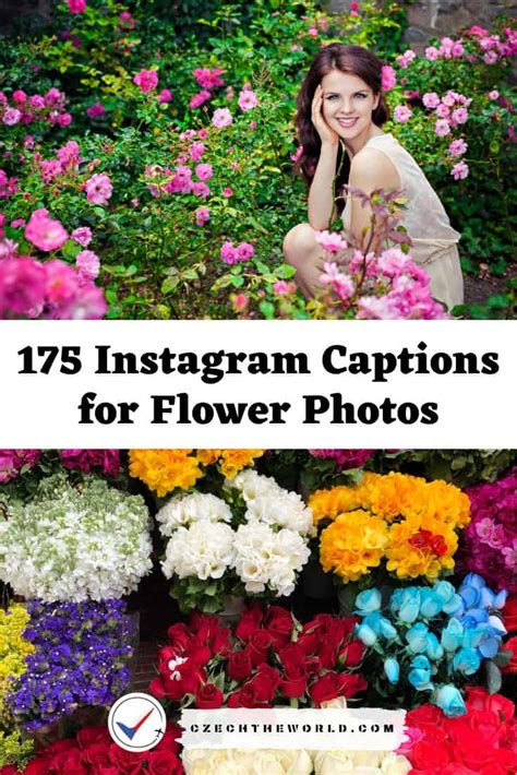 Captions For Flower Post