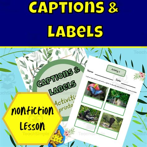 Captions Vs Labels Printable