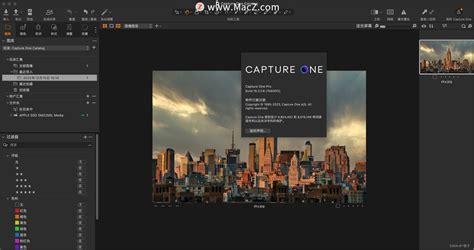 Capture One Catalog