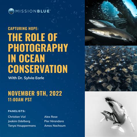 Capturing Hope: The Role Of Photography In Ocean Conservation
