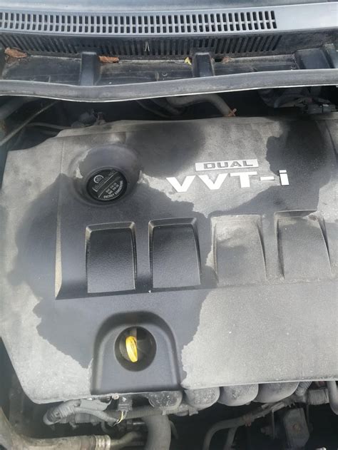 Car Engine Looks Wet