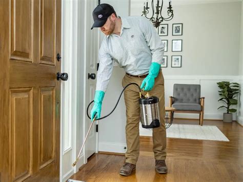 Car Interior Pest Control