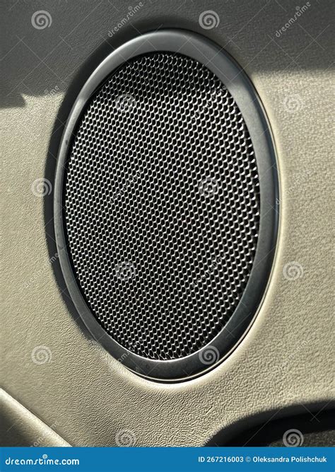Car Stereo Speaker Door