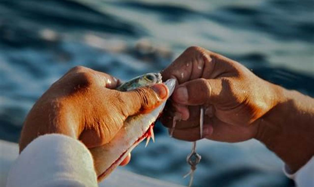 Resep Rahasia: Cara Gampang Bikin Essen Ikan Sendiri