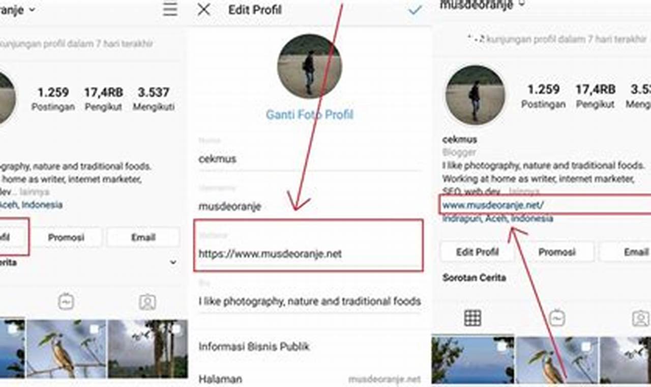 Cara Mudah Bikin Link Instagram yang Menarik, Jangan Sampai Tidak Tau !