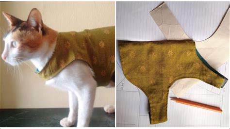 Cara Membuat Baju Kucing Dari Lengan Baju Bekas Sangat Simple & Mudah