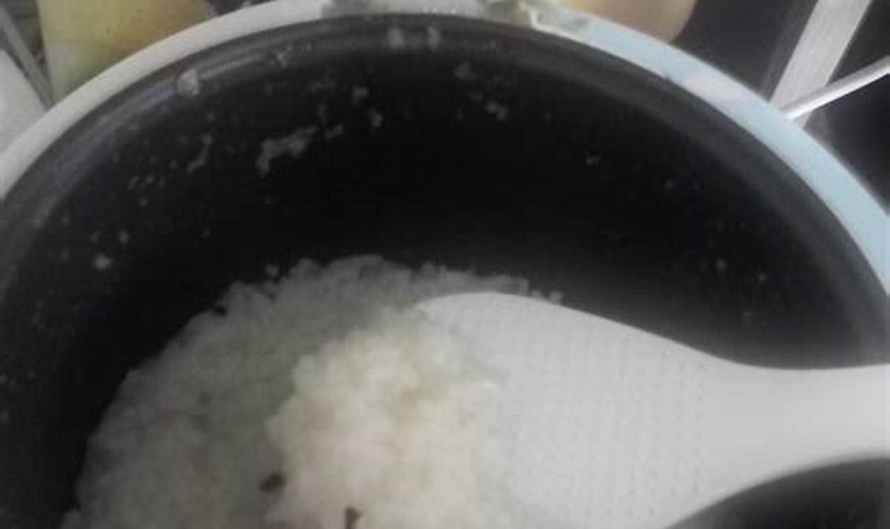 Rahasia Masak Bubur di Rice Cooker, Dijamin Pulen Sempurna!