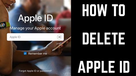 [100 Work] Full Guide to Remove Apple ID from iPhone/iPad
