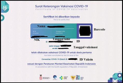 cara download sertifikat vaksin tanpa aplikasi