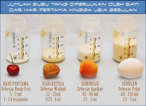 3 Resepi Milk booster Semulajadi untuk Tambah Susu Badan Ibu Ayue Idris