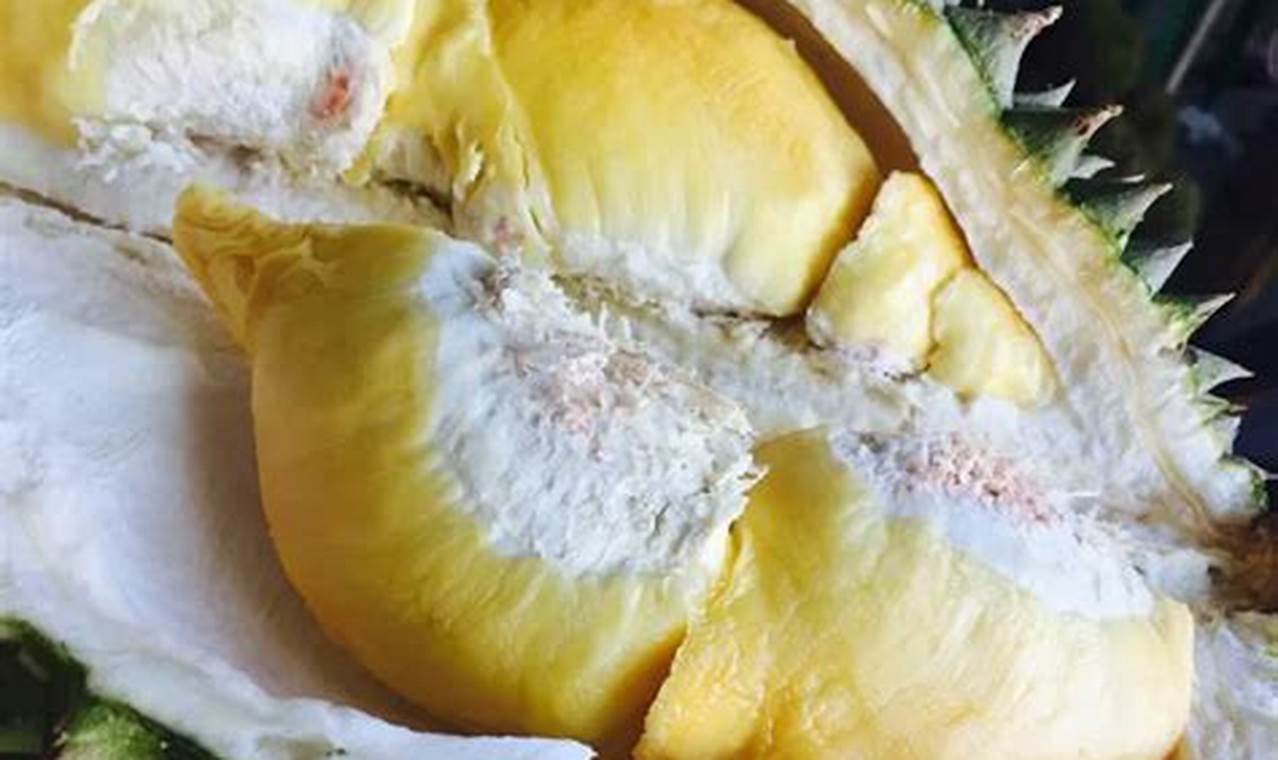 cara makan durian agar tidak darah tinggi